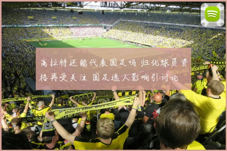高拉特还能代表国足吗 归化球员资格再受关注 国足选人影响引讨论